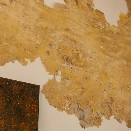 Casa Agnelli Eleganza E Comfort In Zona Signorile Διαμέρισμα *